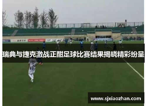 瑞典与捷克激战正酣足球比赛结果揭晓精彩纷呈
