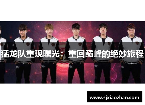 猛龙队重现曙光：重回巅峰的绝妙旅程