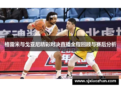 格雷米与戈亚尼精彩对决直播全程回顾与赛后分析
