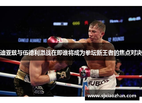 迪亚兹与伍德利激战在即谁将成为拳坛新王者的焦点对决