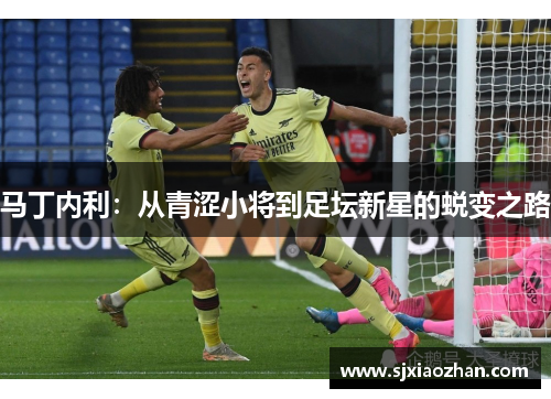 马丁内利：从青涩小将到足坛新星的蜕变之路